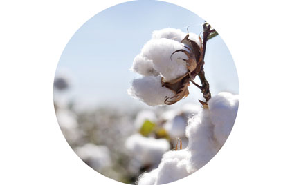 劉潭服裝廠：新生兒衣服選哪種材質(zhì)好？