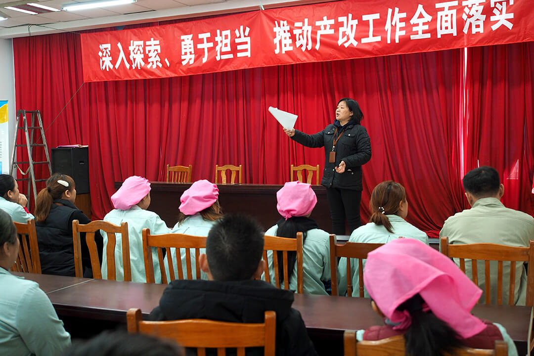 劉潭服裝產改工作