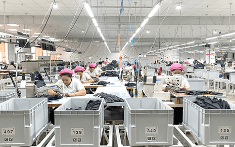 劉潭服裝：黨建聚鏈成勢，賦能產業創新發展