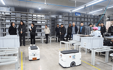 政協領導蒞臨劉潭服裝,共探智能制造新征程 政協領導蒞臨劉潭服裝,共探智能制造新征程